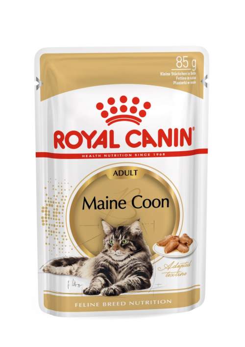 Royal Canin MAINE COON