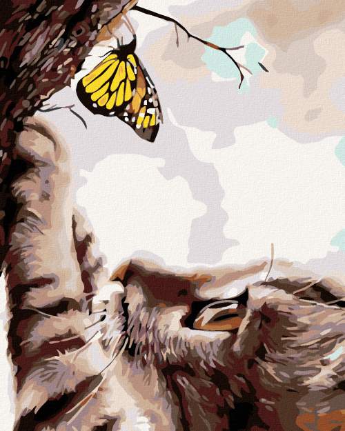 Zuty Kotě s motýlem