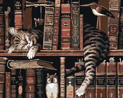 Zuty Malování podle čísel Kočka v knihovně