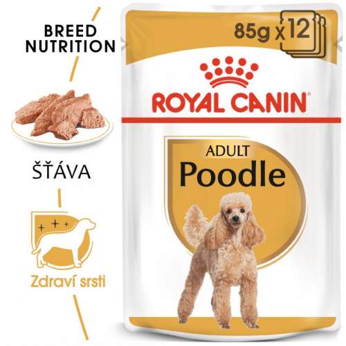 Royal Canin Poodle kapsičky 12x85g
