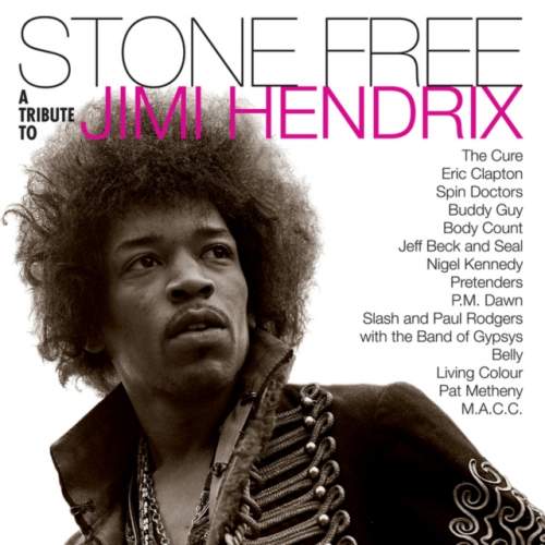 Warner Music Various: Stone Free: Jimi Hendrix Tribute: 2Vinyl (LP)