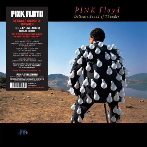 Warner Music PINK FLOYD - Delicate Sound Of Thunder (LP)