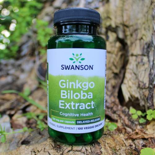 Swanson Ginkgo Biloba Extract 120 mg