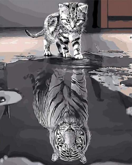 Gaira Malování podle čísel Tygr