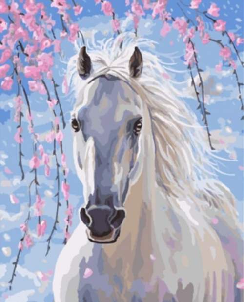 Gaira Malování podle čísel Bílý kůň
