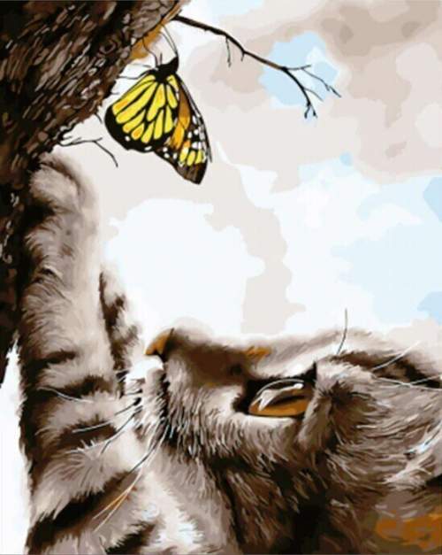 Gaira Malování podle čísel Kotě s motýlem