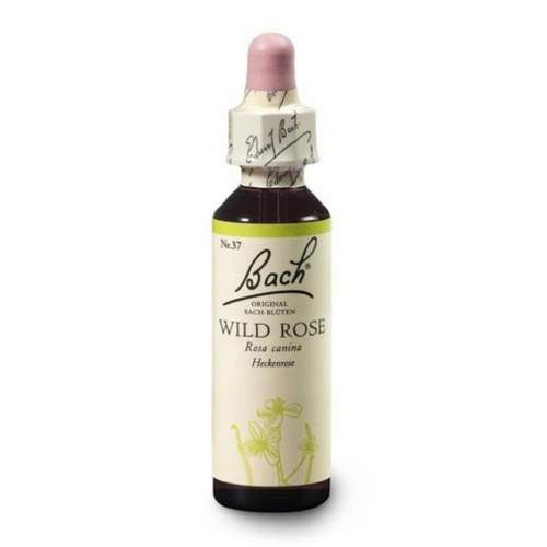 Dr. Bach Wild Rose 20 ml
