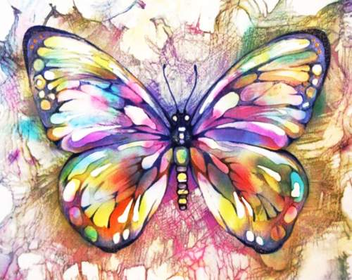 Gaira Malování podle čísel Motýl 1