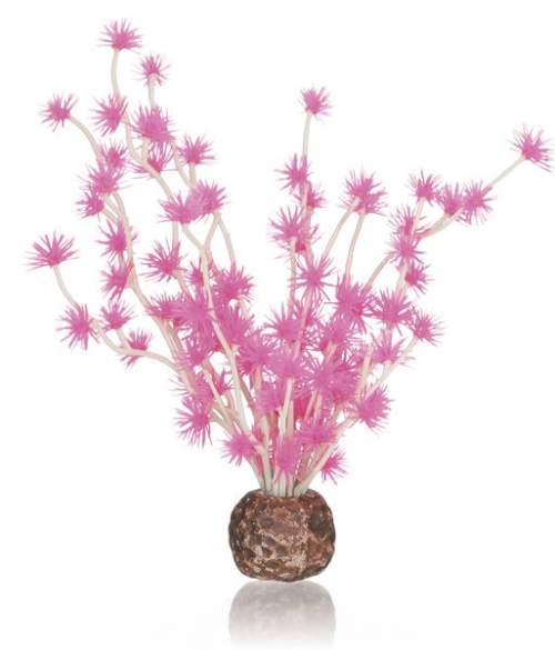 OASE biOrb rostlina Bonsai růžová