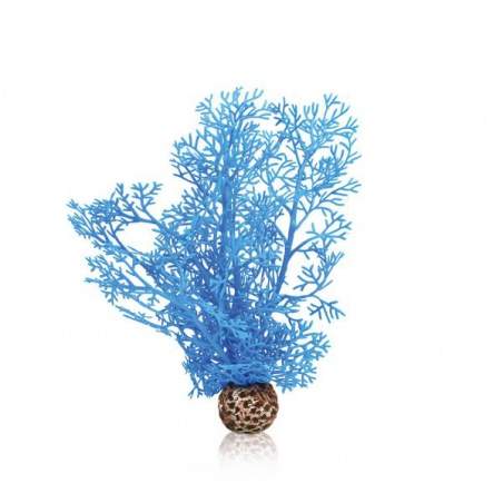 OASE biOrb malá mořská rostlina modrá