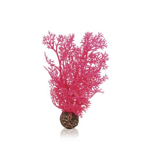 OASE biOrb malá mořská rostlina růžová