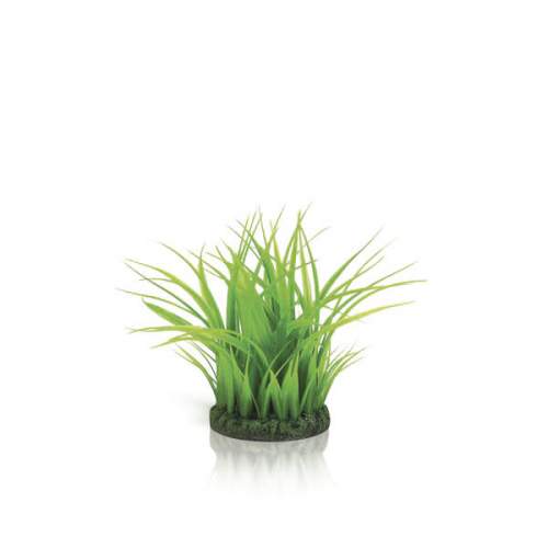 OASE biorb malý trs trávy zelený