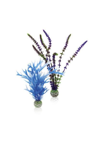 OASE biOrb střední rostlina set modro - fialová