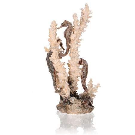 OASE biOrb seahorses on coral přírodní M