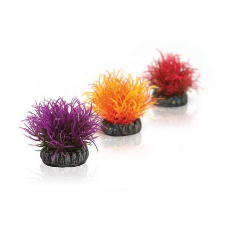 OASE biOrb Plastová rostlina - Aquatic Colour Ball Set fialová, oranžová a rudá 5 cm