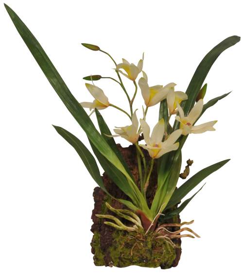 Lucky Reptile Závěsná orchidej - bílá cca 20x30 cm