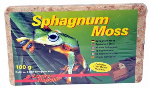 Lucky Reptile Sphagnum Moss - rašeliník 100 g/5 l