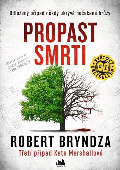 Propast smrti - Bryndza Robert