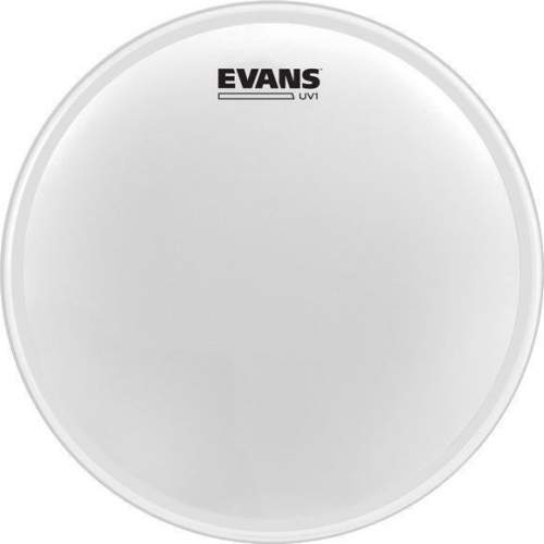 Evans B12UV1 UV1 Coated 12”