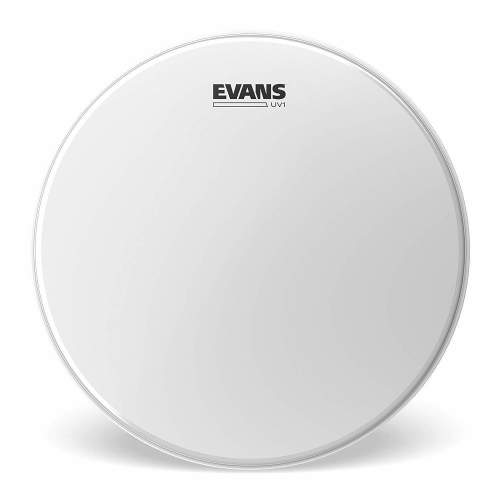 Evans B10UV1 UV1 Coated 10”
