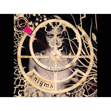 Enigma: A Posteriori: Vinyl (LP)