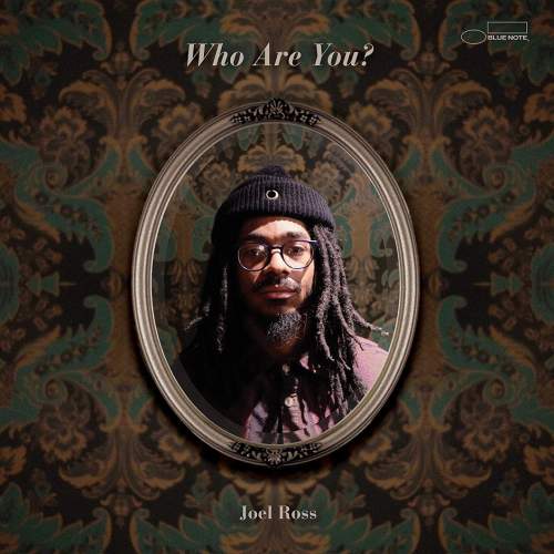 Ross Joel: Who Are You?: 2Vinyl (LP)
