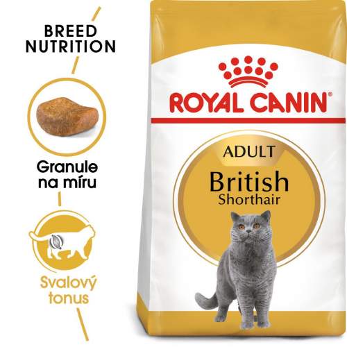 ROYAL CANIN British Shorthair Adult 4kg granule pro britské krátkosrsté kočky
