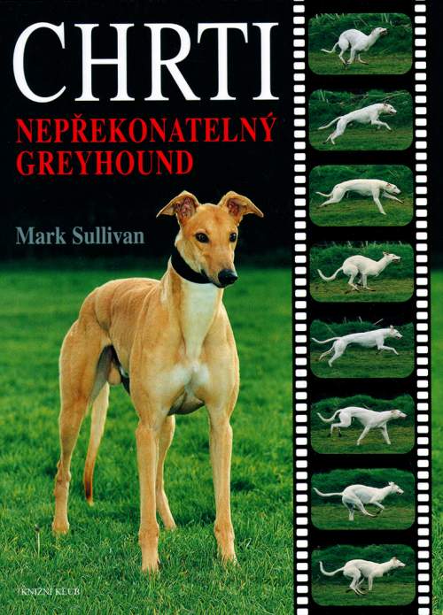 Chrti -- Nepřekonatelný Greyhound - Sullivan Mark S.