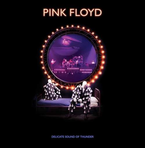 Pink Floyd: Delicate Sound of Thunder: 2CD