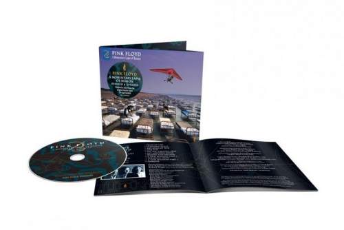 Pink Floyd: A Momentary Lapse Of Reason - Pink Floyd