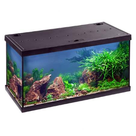 Eheim Aquastar LED akvarijní set černý 60x33x33, 54 l