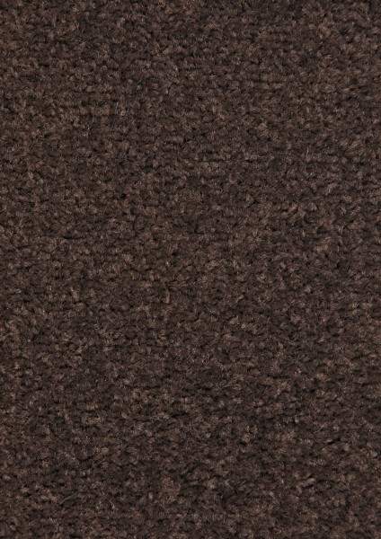 Kusový koberec Nasty 101154 Braun Rozměry koberců: 67x120