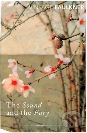 The Sound And The Fury - William Faulkner