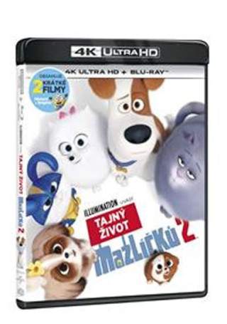 Tajný život mazlíčků 2 4K Ultra HD [DVD, Blu-ray]