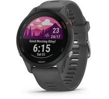 Garmin Forerunner 255, Slate Gray 010-02641-10