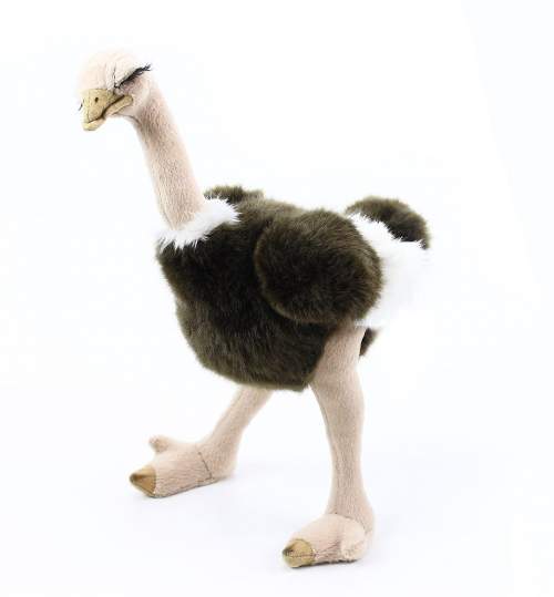 RAPPA pštros Emu