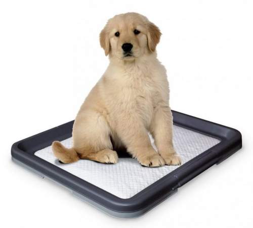Nobby Doggy Trainer Large toaleta 62,5 x 48 x 3,8 cm