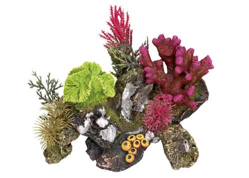 Nobby Korál s rostlinami 17x12,5cm