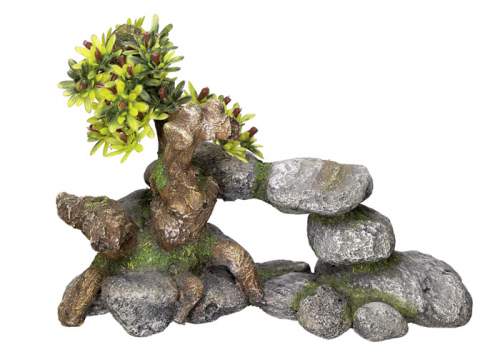 Nobby bonsaj 19 x 9 x 13 cm