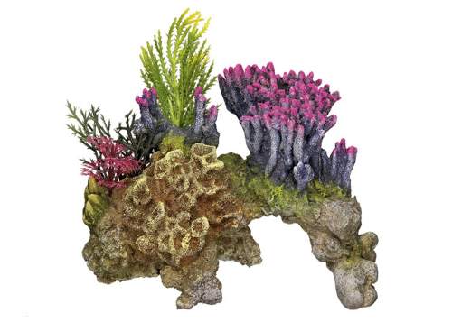 Nobby korálový kámen 15,5 x 9 x 10,5 cm
