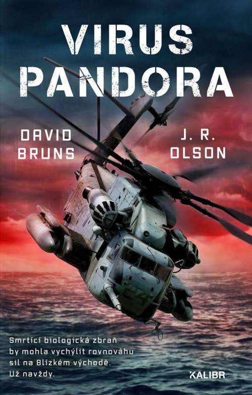 Virus Pandora - David Bruns, J. R. Olson