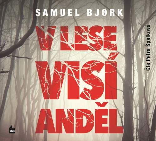 Samuel Bjork - V lese visí anděl
