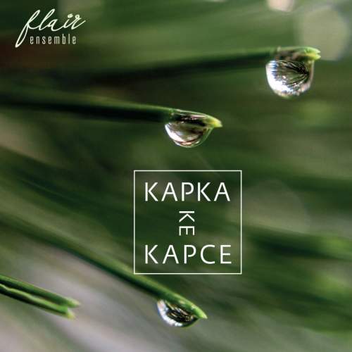 INDIES Kapka ke kapce - Flair CD