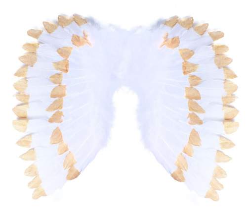 RAPPA Andělská křídla s peřím bílo-zlatá