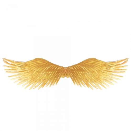 RAPPA Andělská křídla zlatá