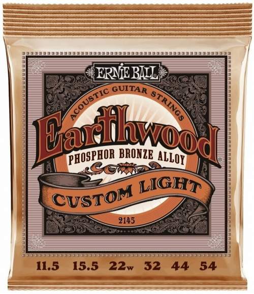 Ernie Ball P02145