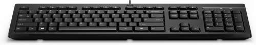 HP 125 Wired Keyboard - ENG lokalizace