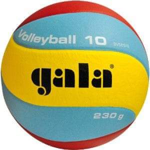 Gala Volleyball 10 BV 5651