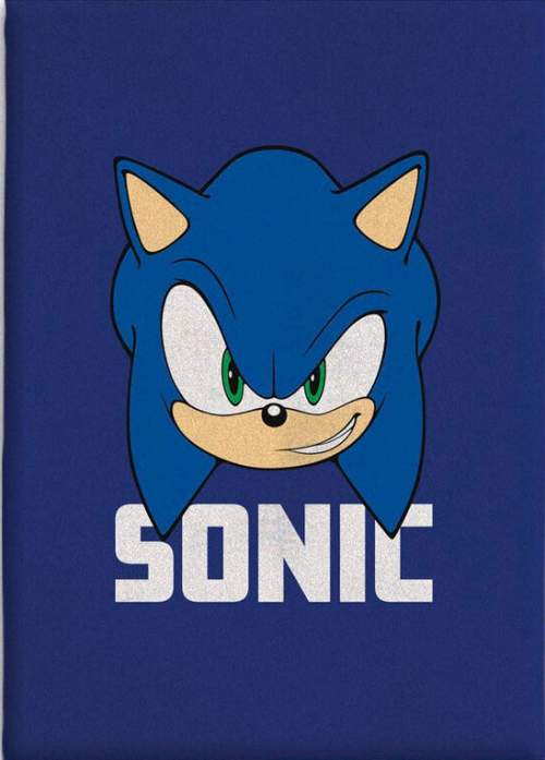 OEM Sonic: The Hedgehog Head