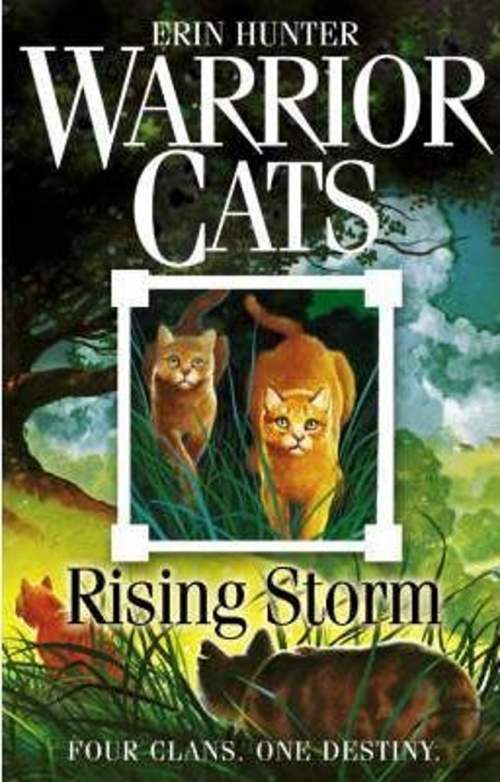 Erin Hunter: Warrior Cats 4 - Rising Storm